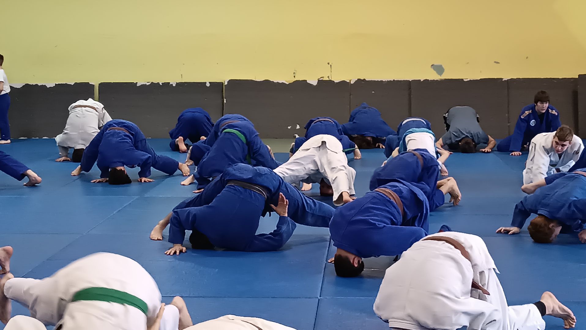 дзюдо, чемпион мира, щёлково, тренеровка,