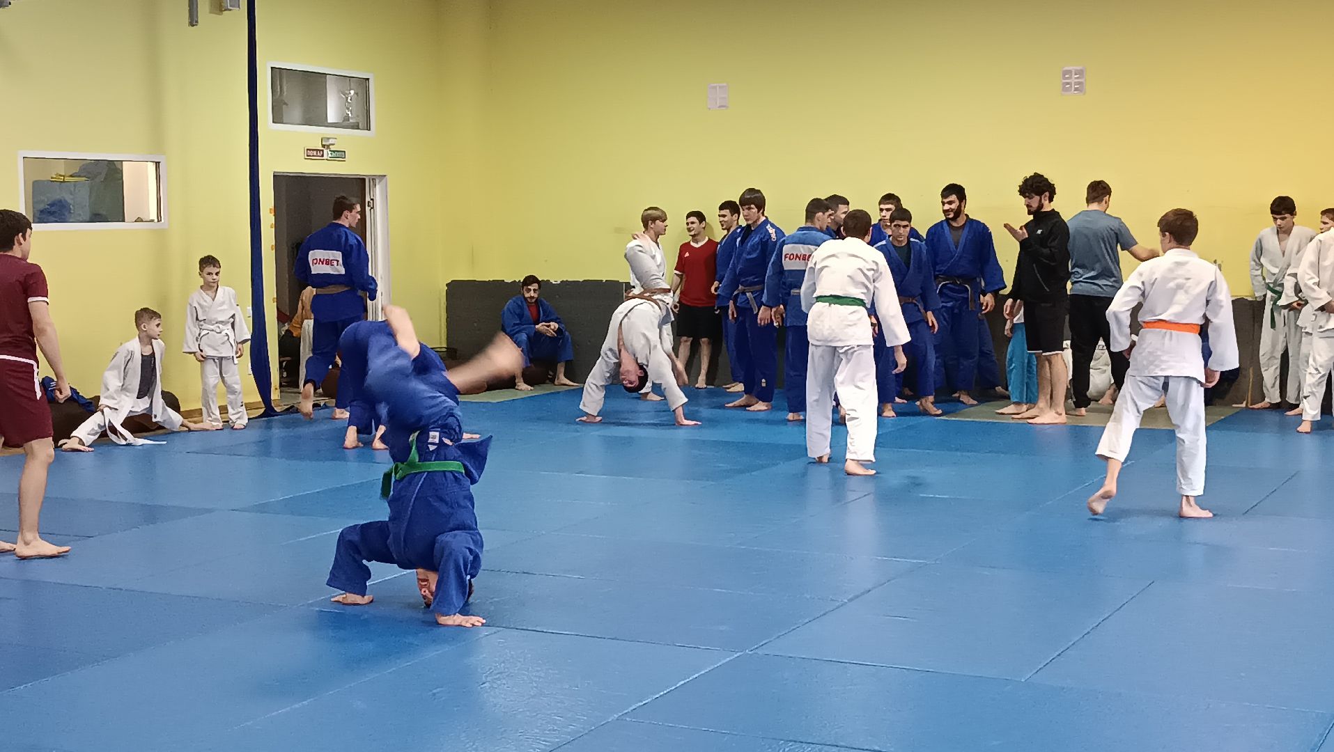 дзюдо, чемпион мира, щёлково, тренеровка,