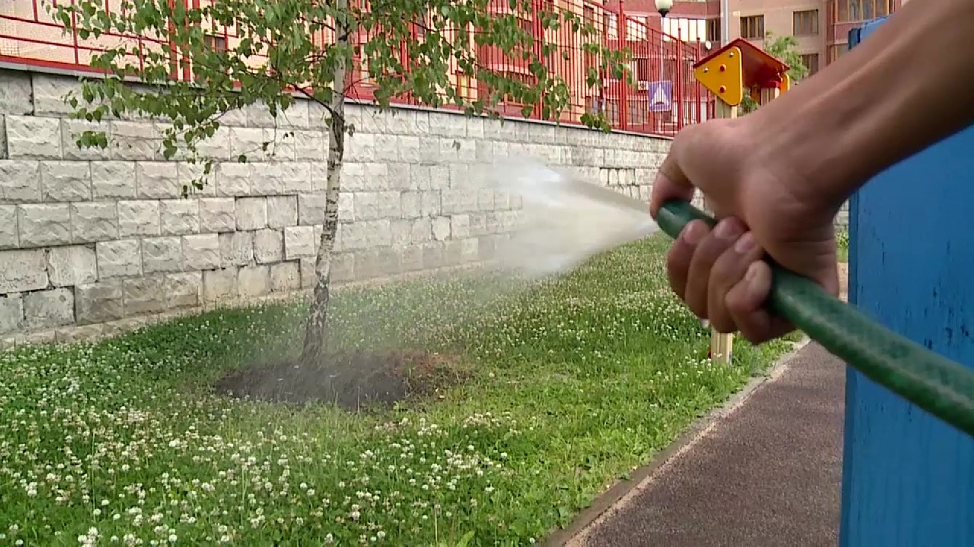 Реутов, трудовое лето, школьники, трудоустройство, Центр занятости населения