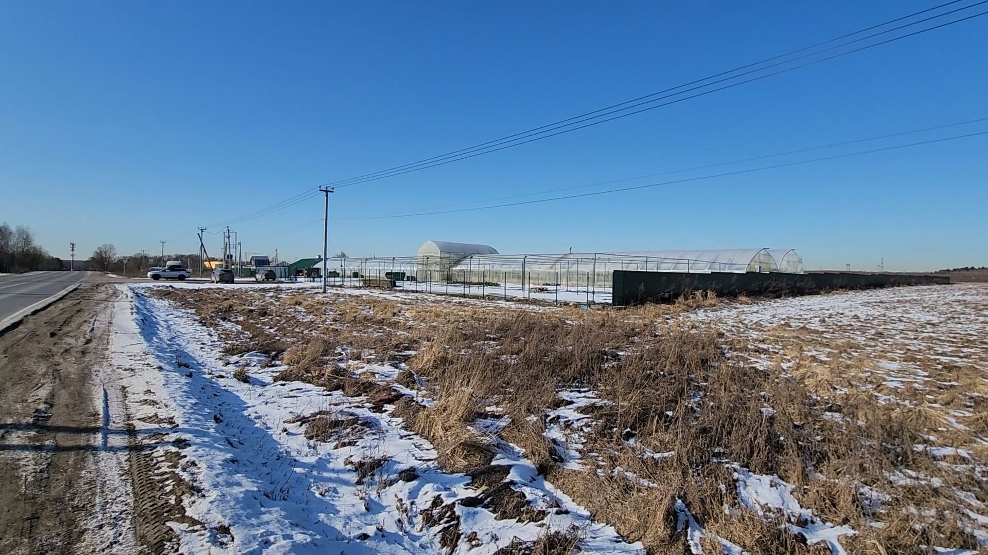 Чехов, деревня Хлевино, тепличный комплекс, садовый центр, конвейер, сортировка тюльпанов, приемка тюльпанов, обвязка, вязальные аппараты, оборудование,