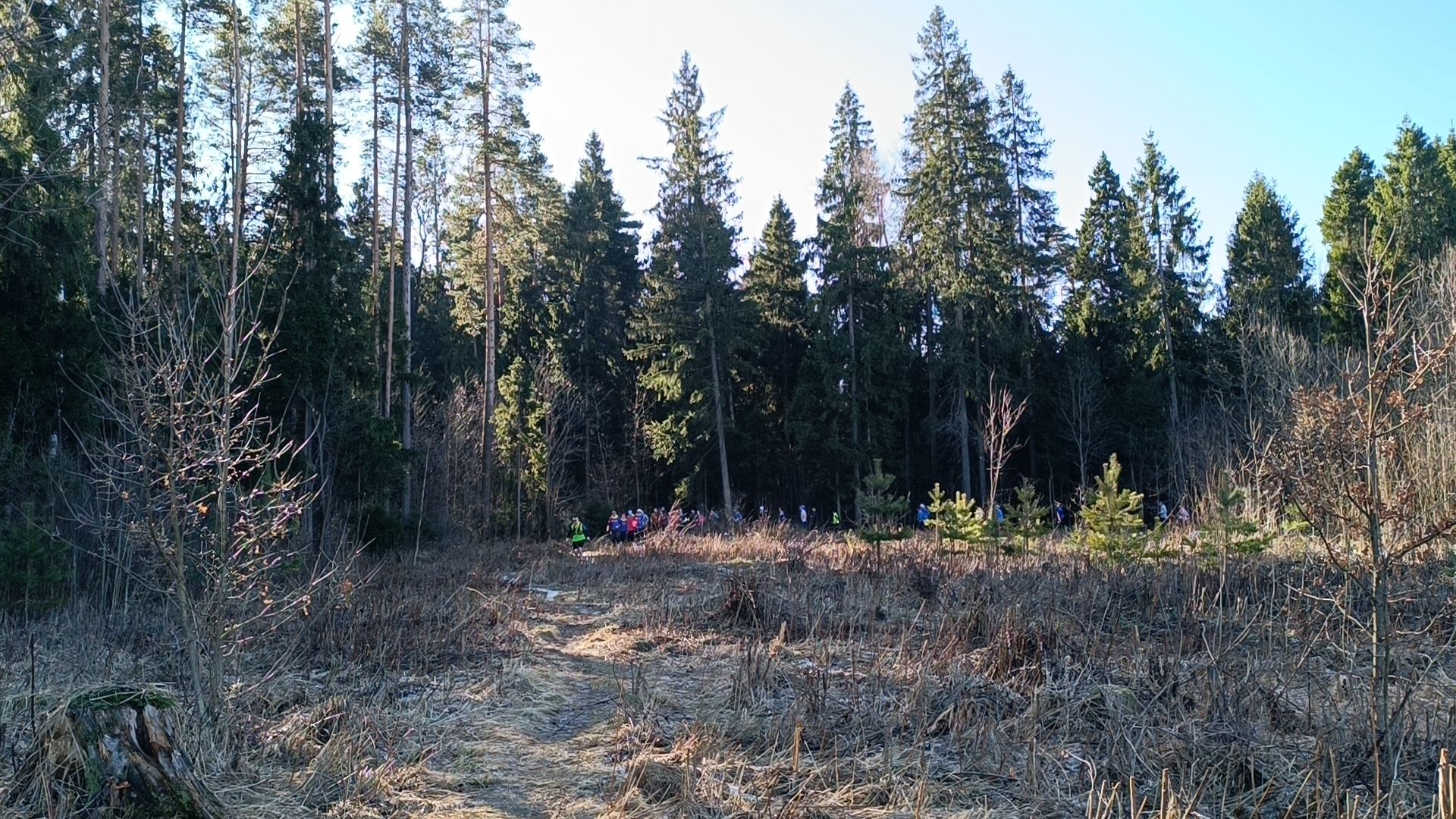 бег, лобня, парк,