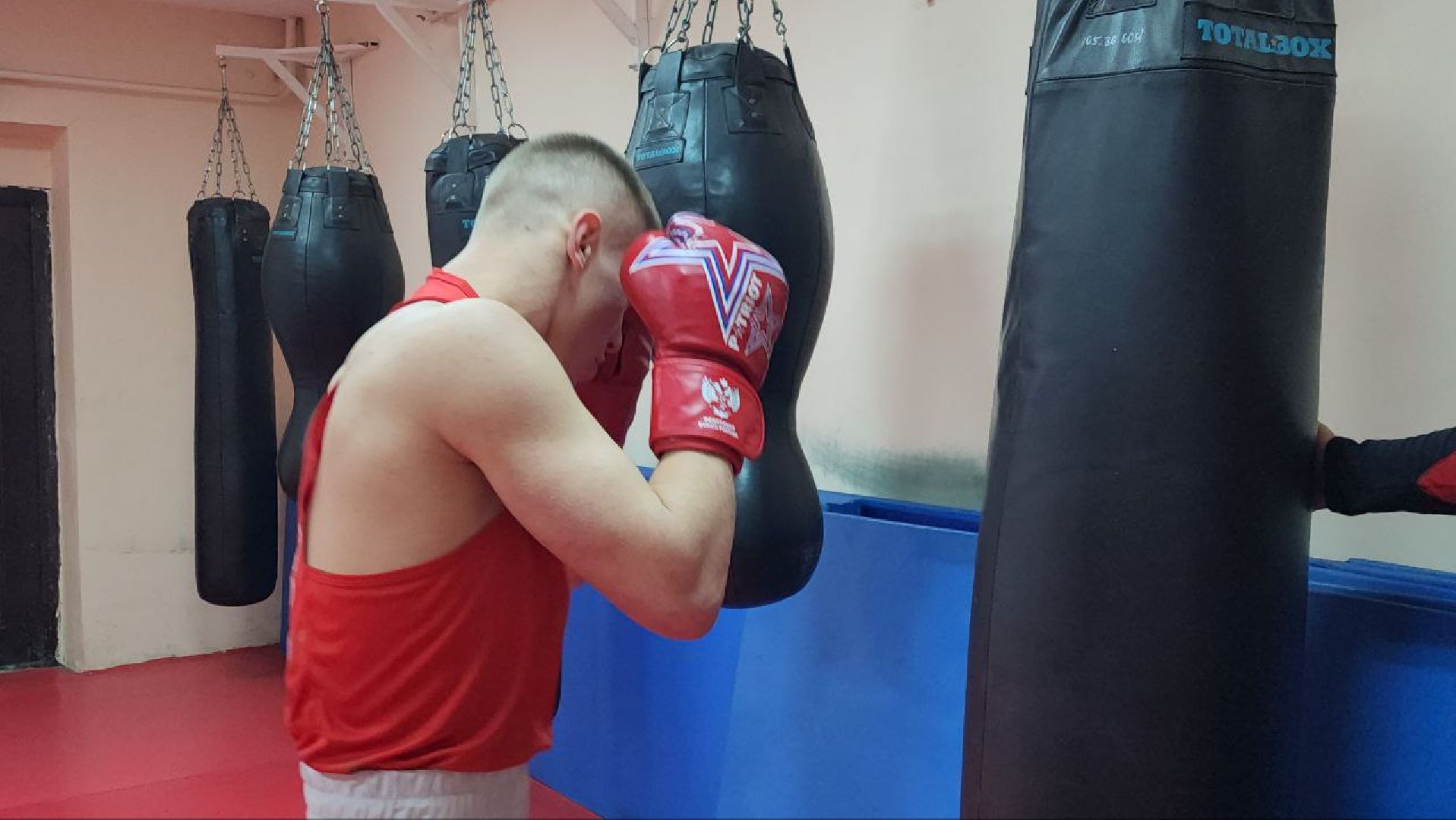 Луховицы, боксер,