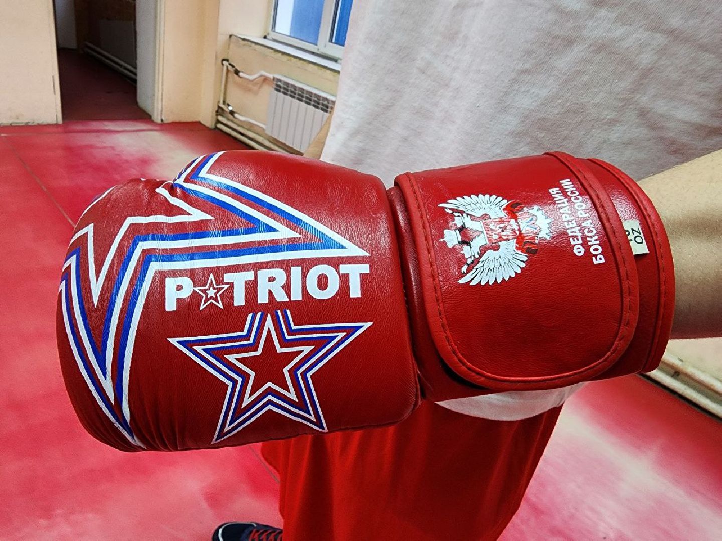 Луховицы, боксер,