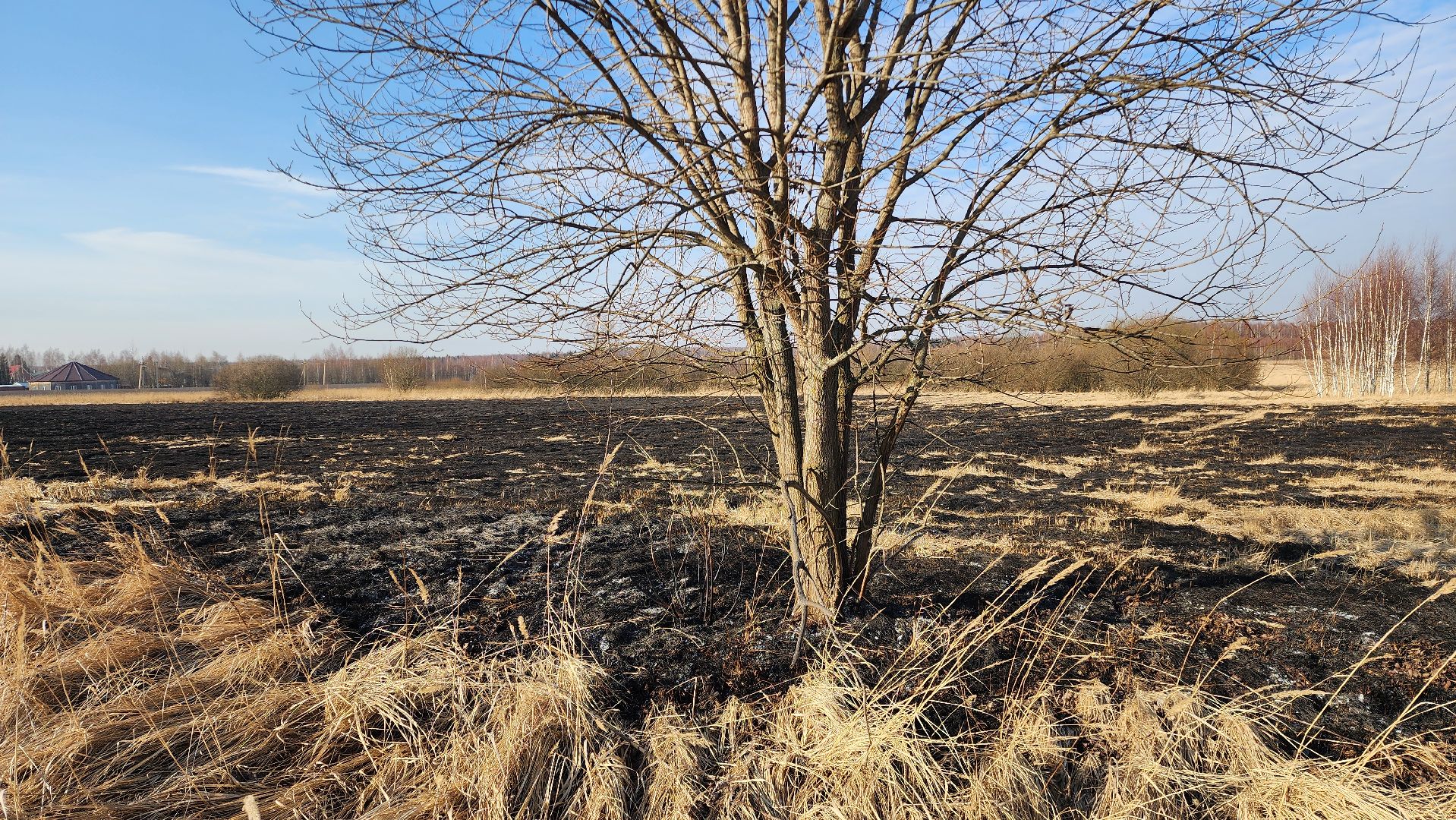 Раменский округ, Атака БПЛА, Спецслужбы потушили огонь,