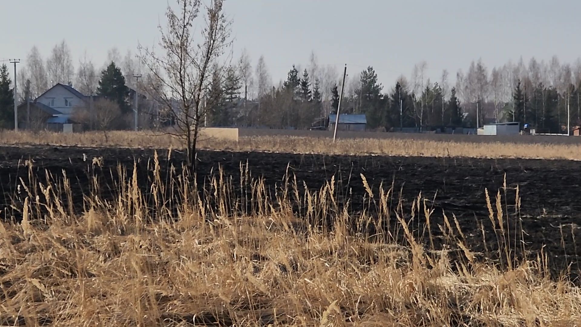 Раменский округ, Атака БПЛА, Спецслужбы потушили огонь,