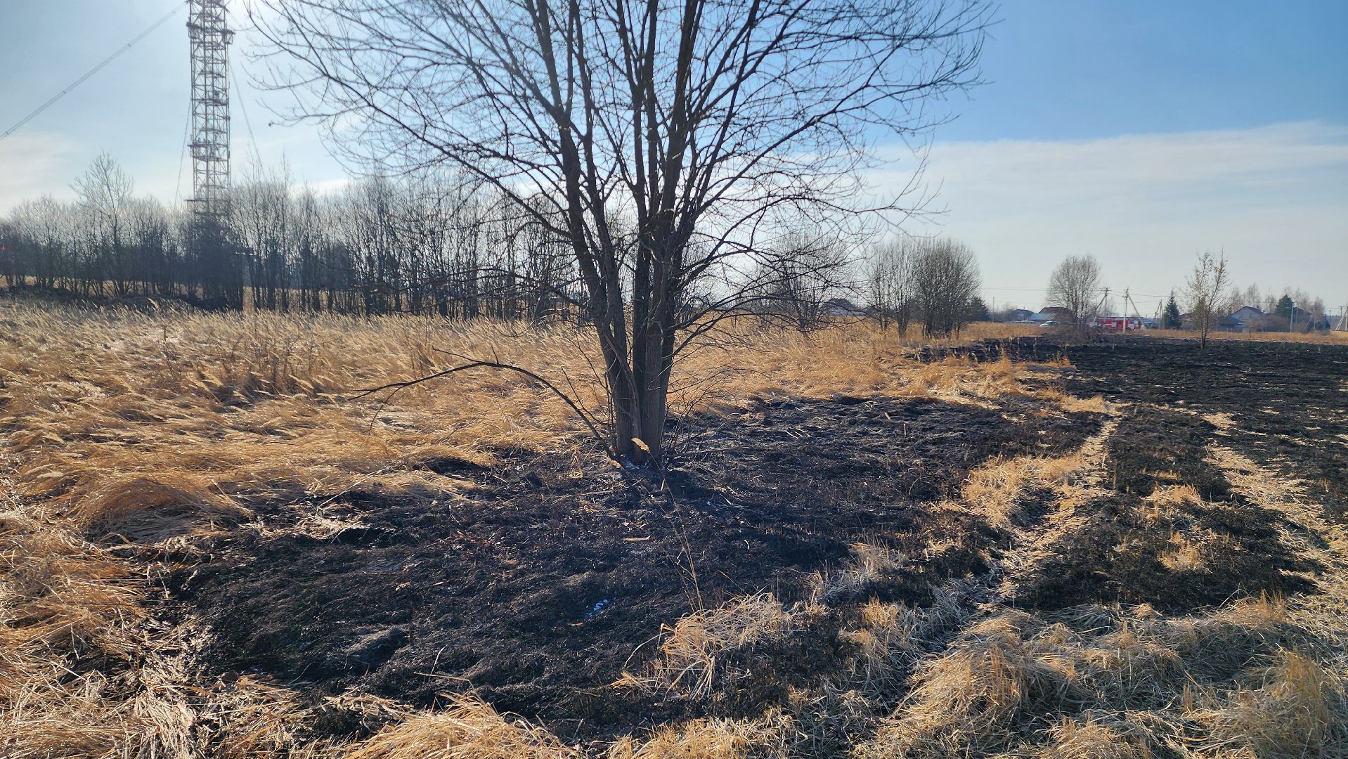 Раменский округ, Атака БПЛА, Спецслужбы потушили огонь,