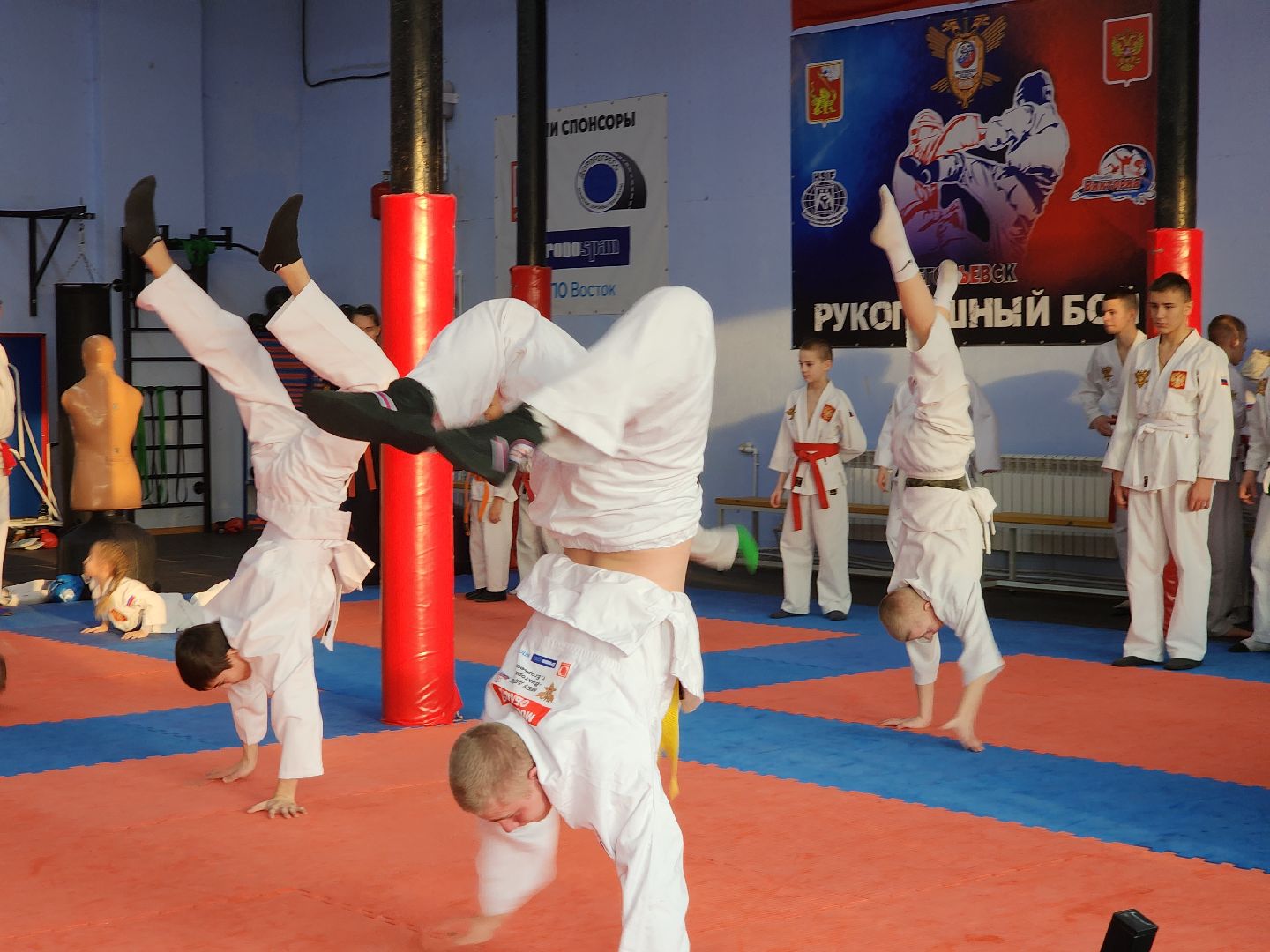 Егорьевск, Подмосковье, Московская область, виктория, Рукопашный бой,