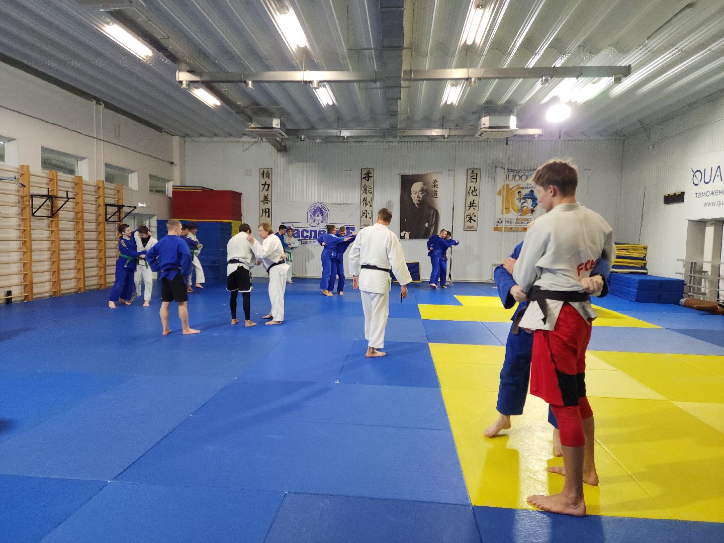 Подольск, самбо, чемпион, борьба,