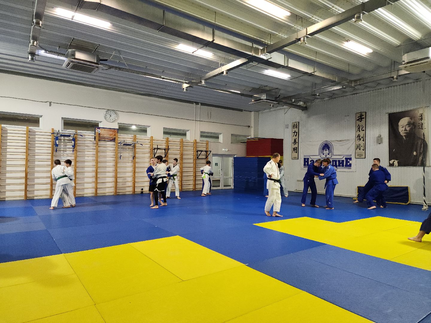 Подольск, самбо, чемпион, борьба,