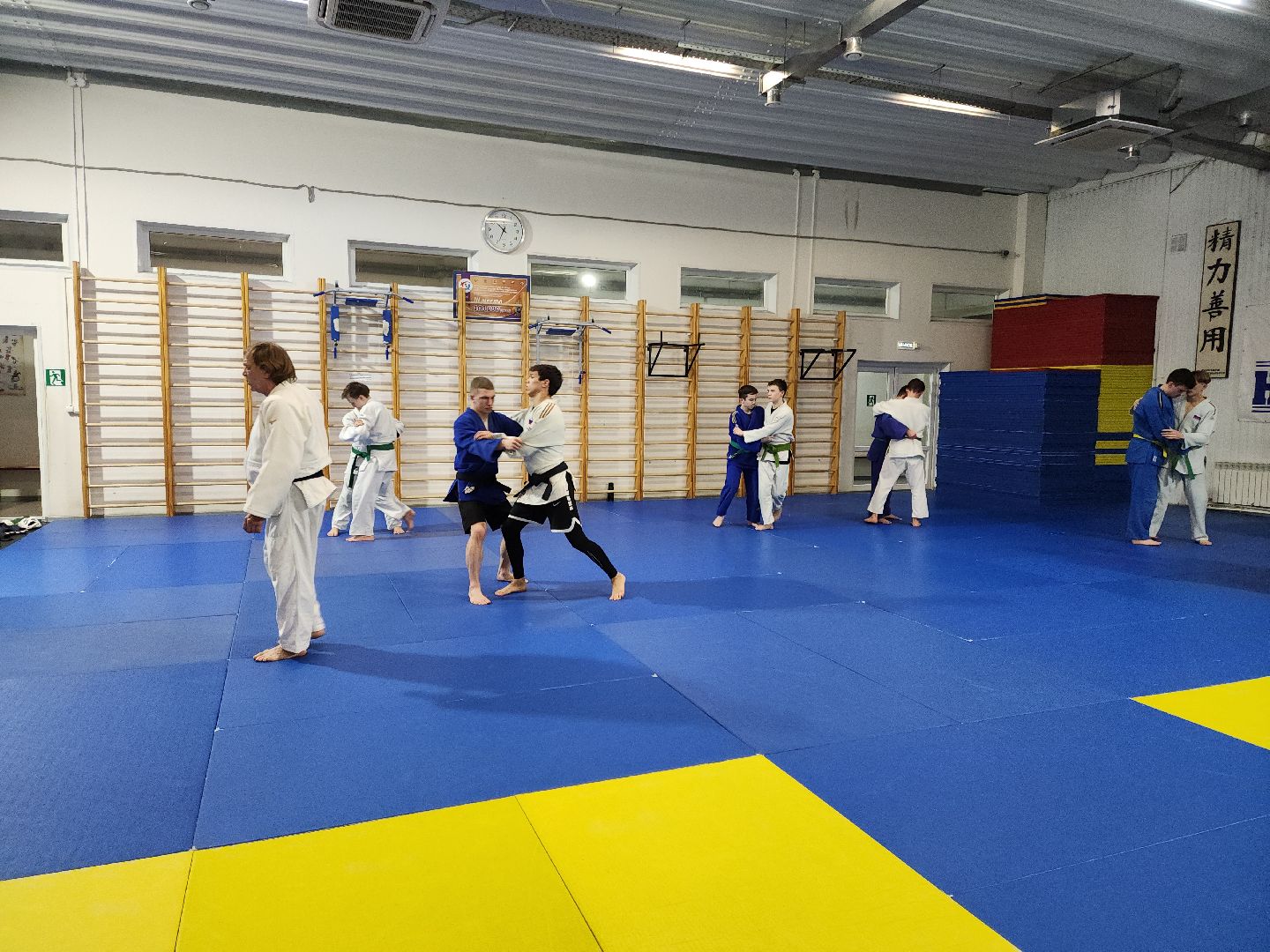 Подольск, самбо, чемпион, борьба,