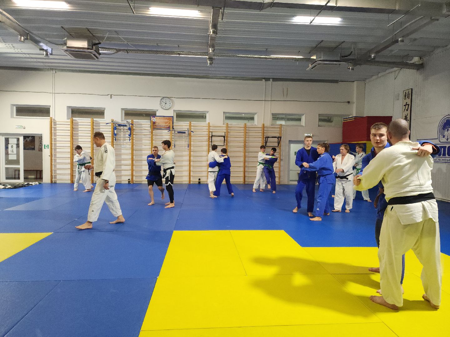 Подольск, самбо, чемпион, борьба,