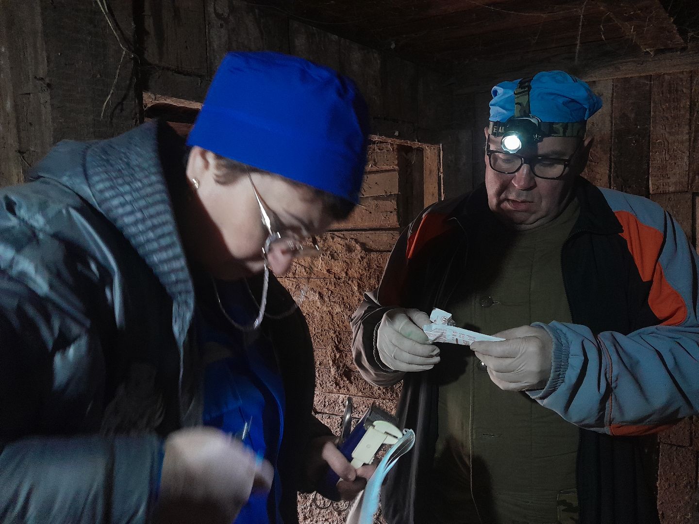 коровы, ветеринар, балашиха,