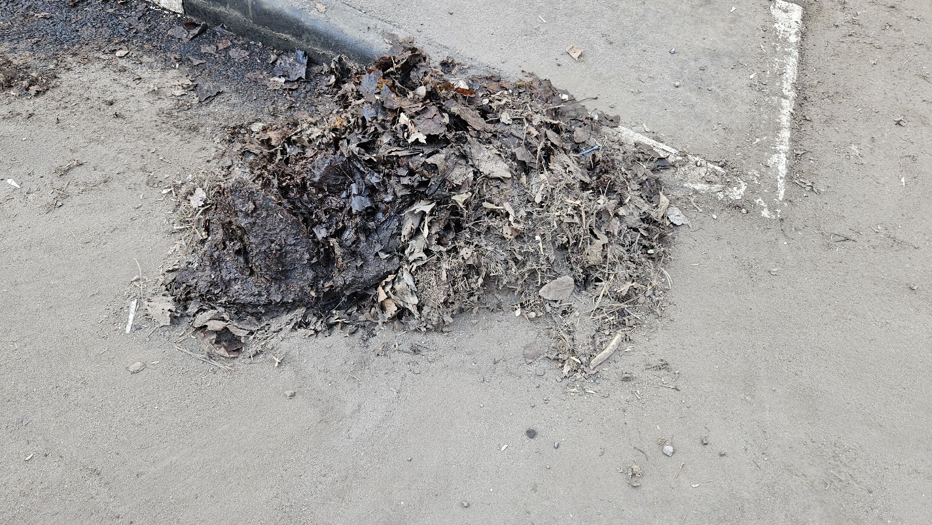 уборка, вертикалки, жуковский,