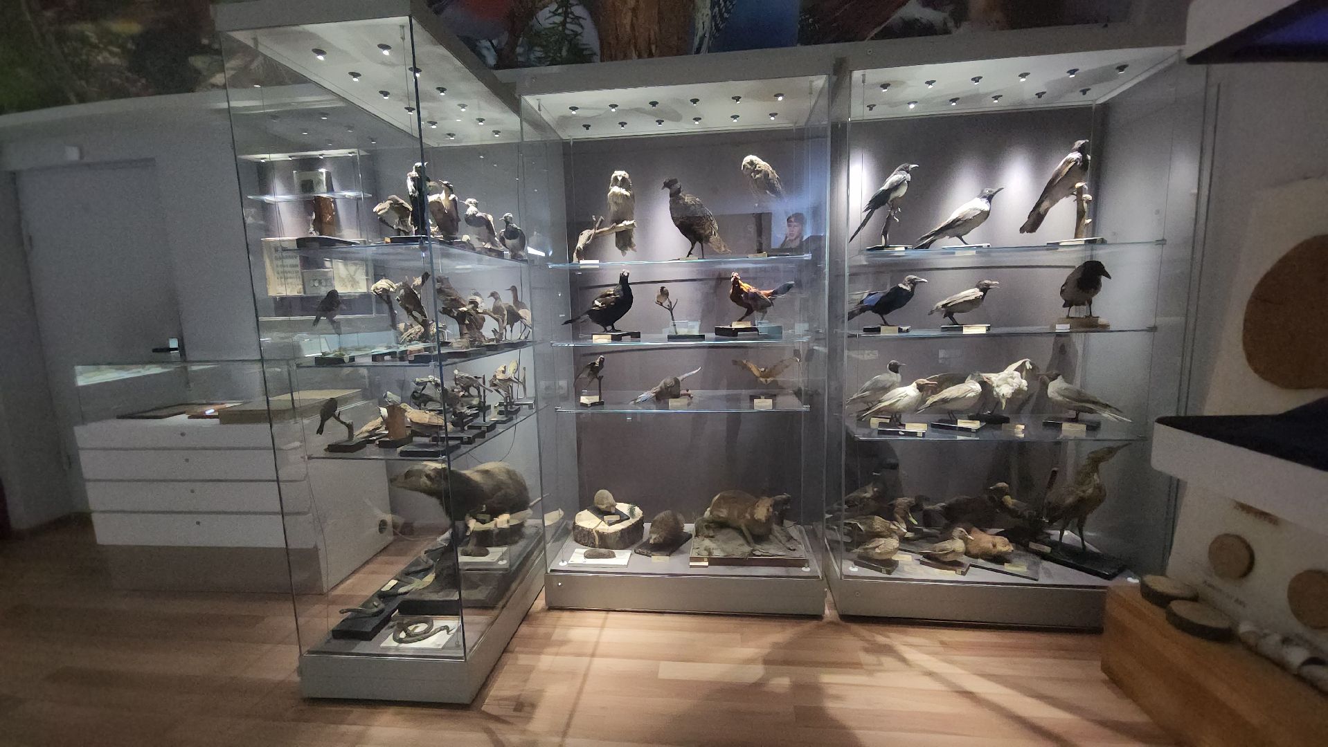 Люберцы, люберецкая картинная галерея, музейно-выставочный комплекс, пушкинская карта,