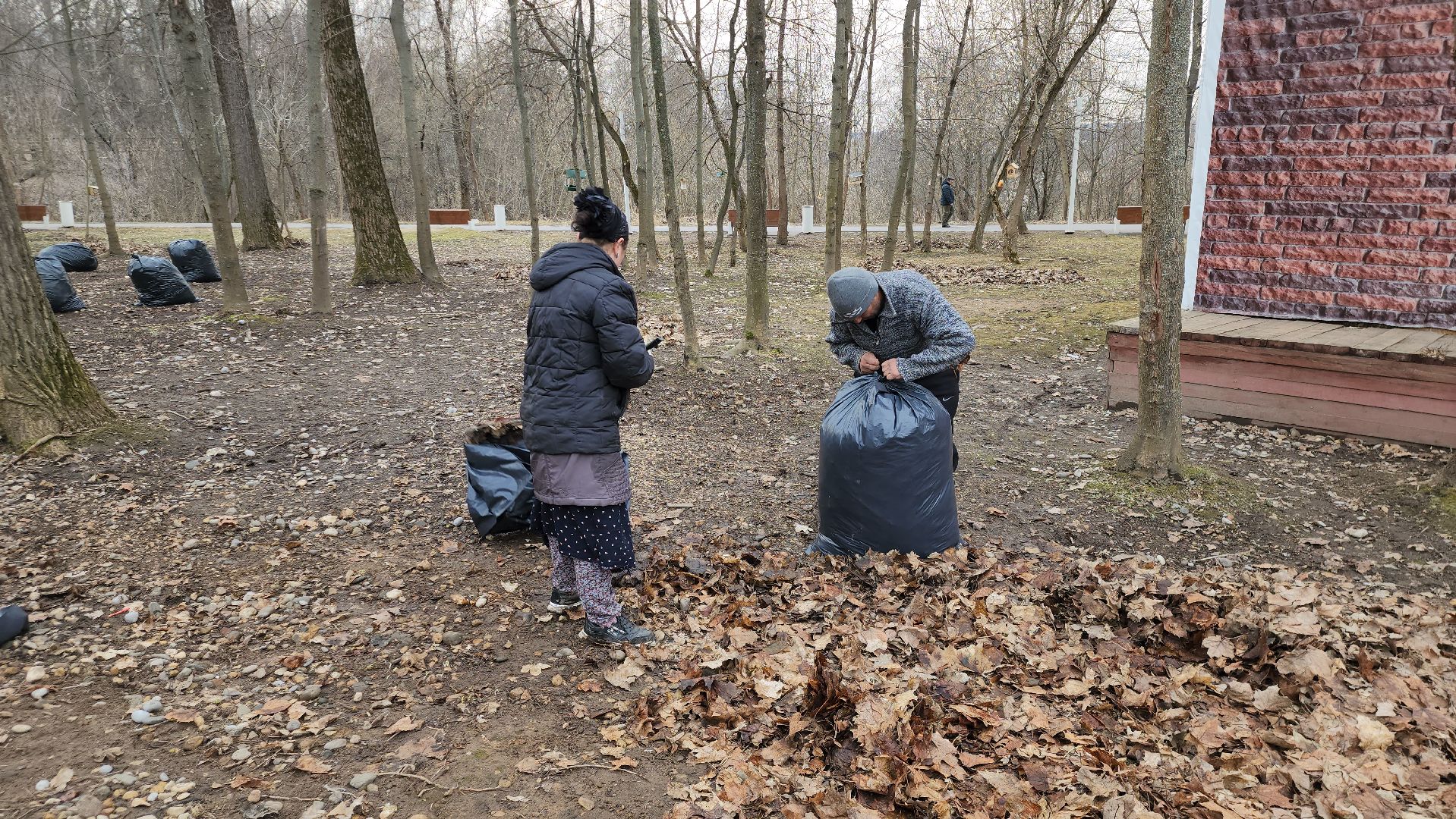 Уборка листьев, Истра, Благоустройство, Парк,