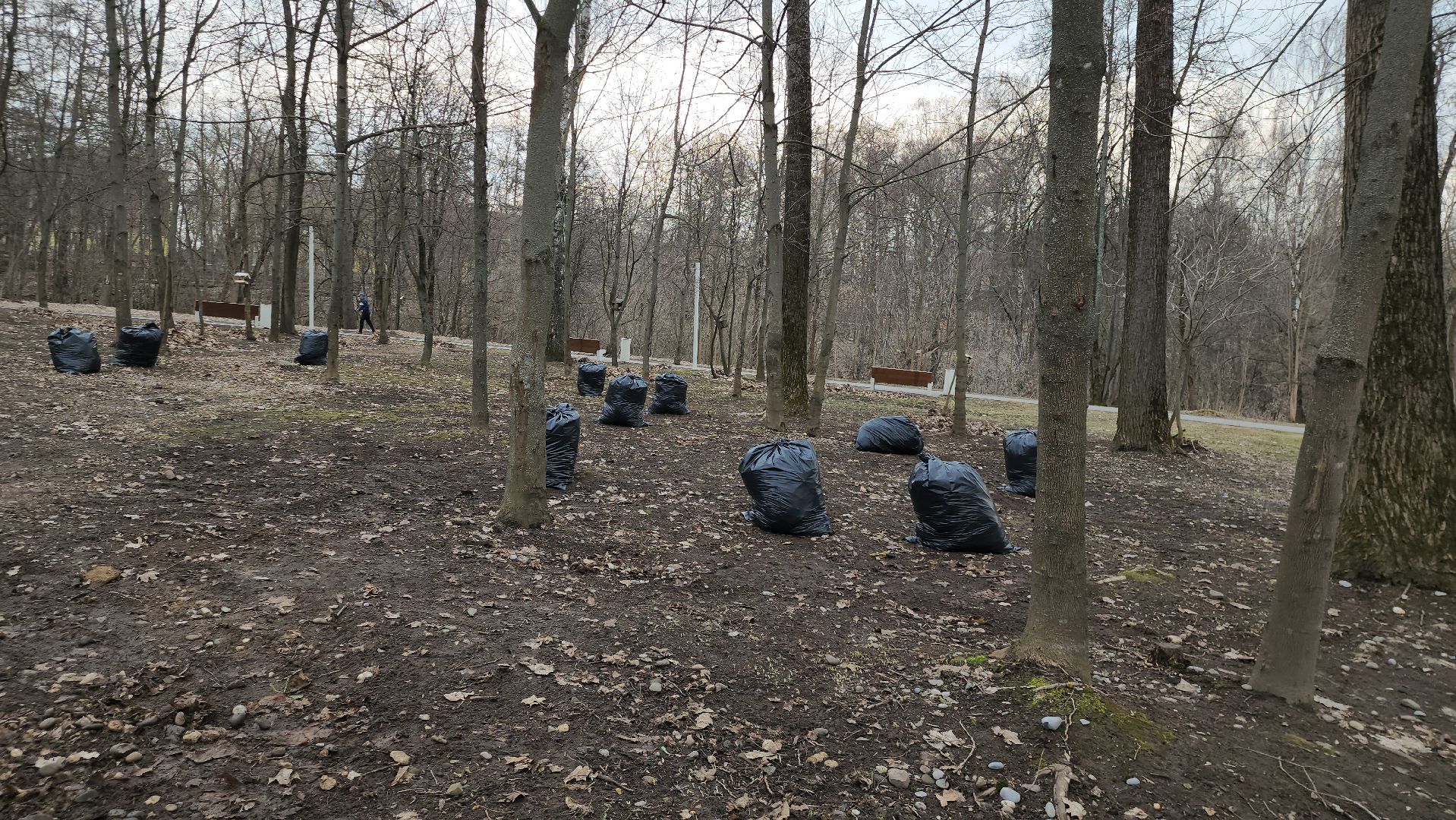 Уборка листьев, Истра, Благоустройство, Парк,