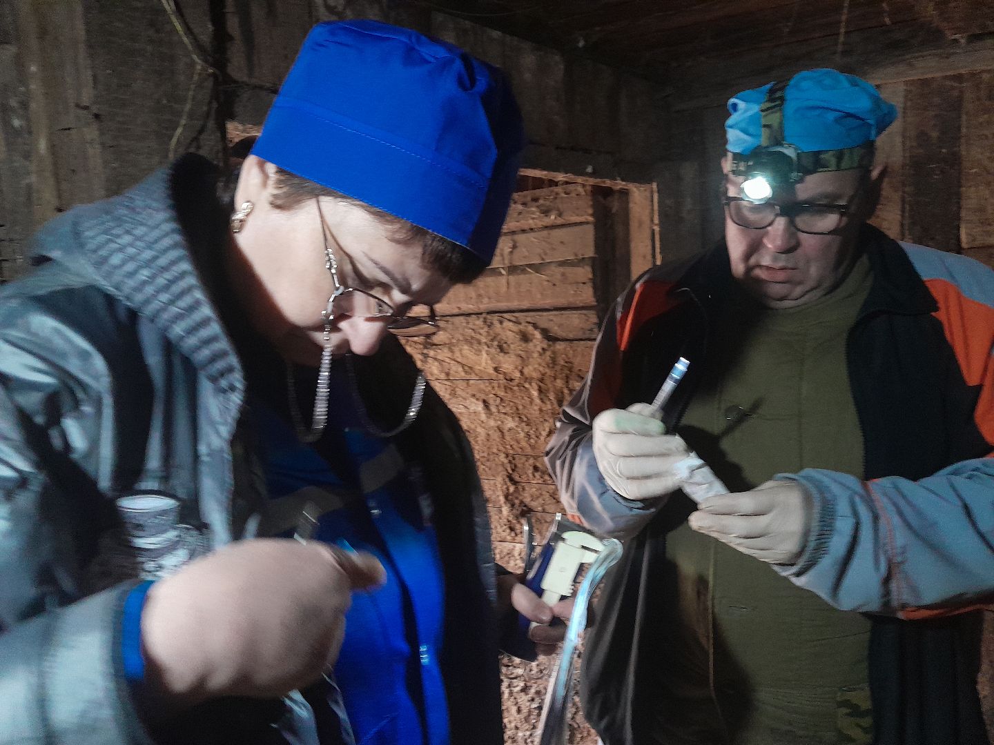 чипирование домашних животных, ветеринар, балашиха,