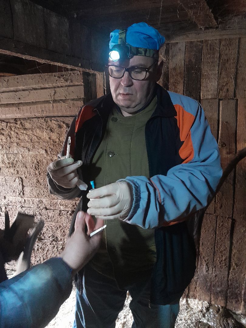 чипирование домашних животных, ветеринар, балашиха,