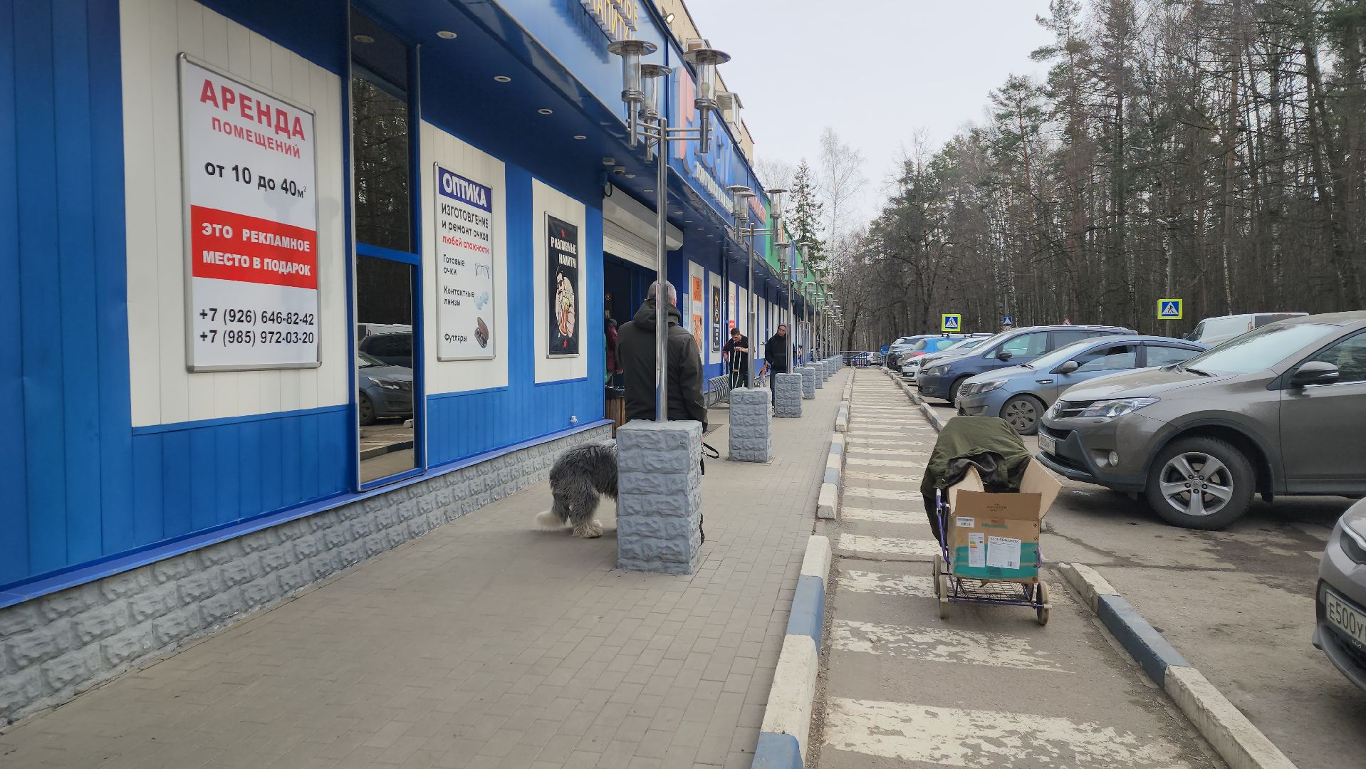 ивантеевка, пушкинский, уборка городских территорий, мусор, ветки, грязь, коммунальная служба,