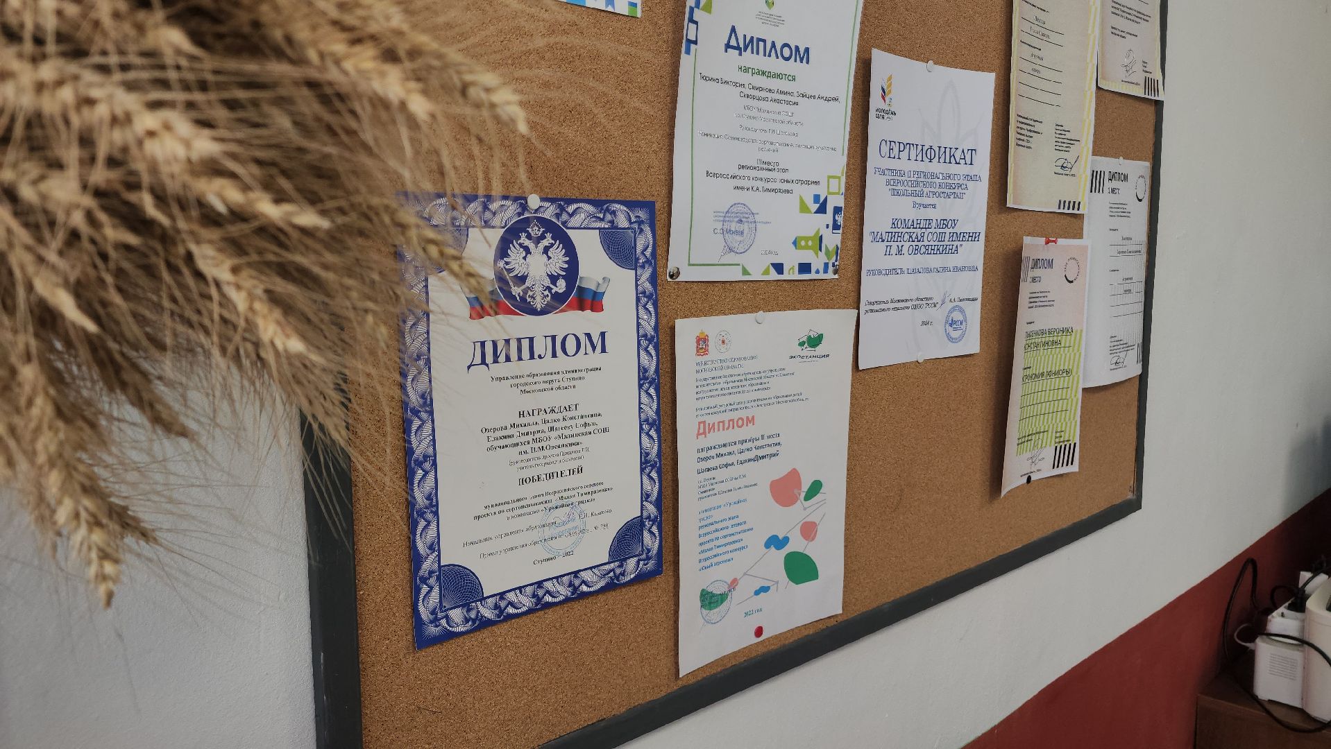 ступино, образование, агроклассы,