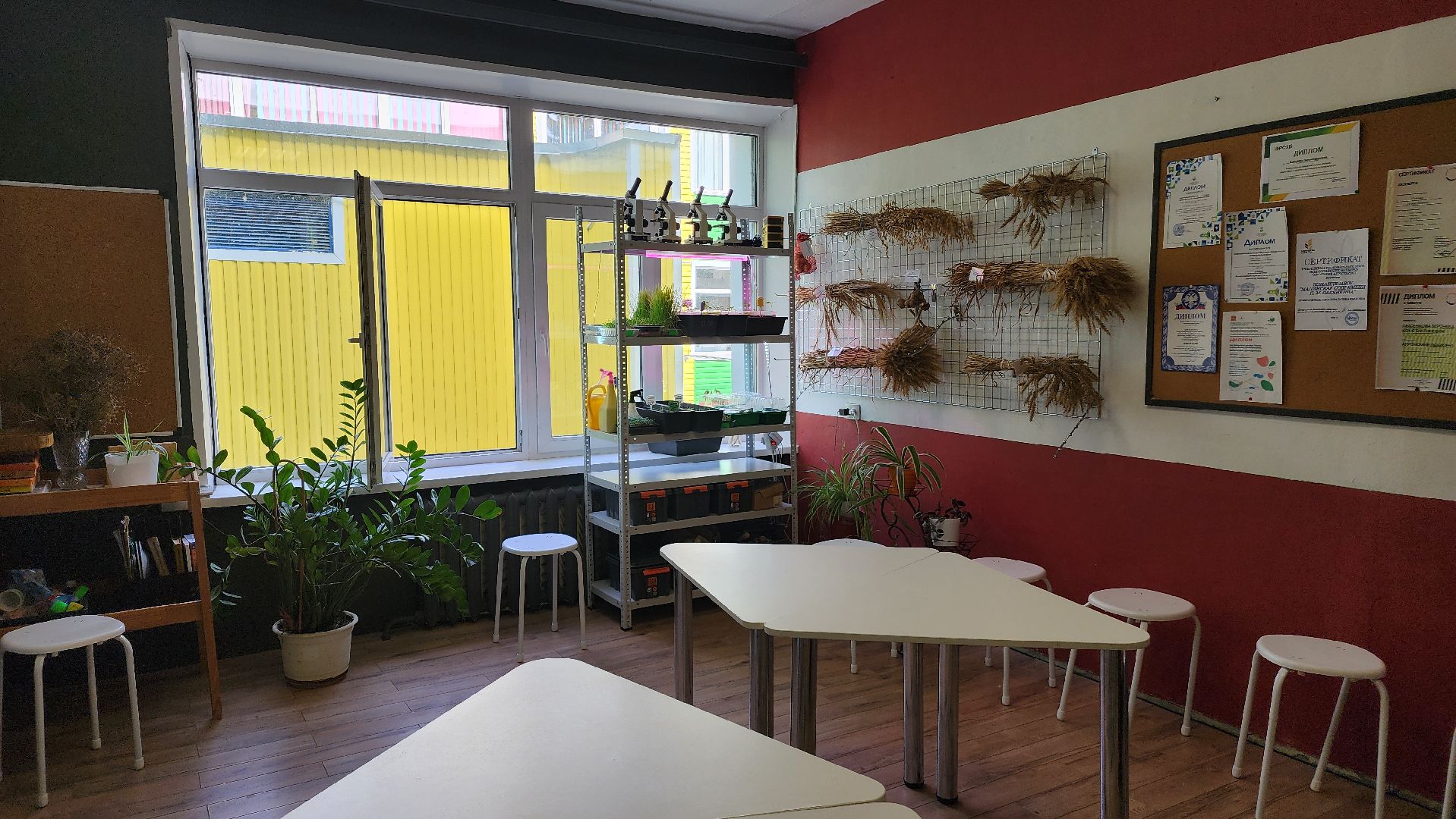 ступино, образование, агроклассы,