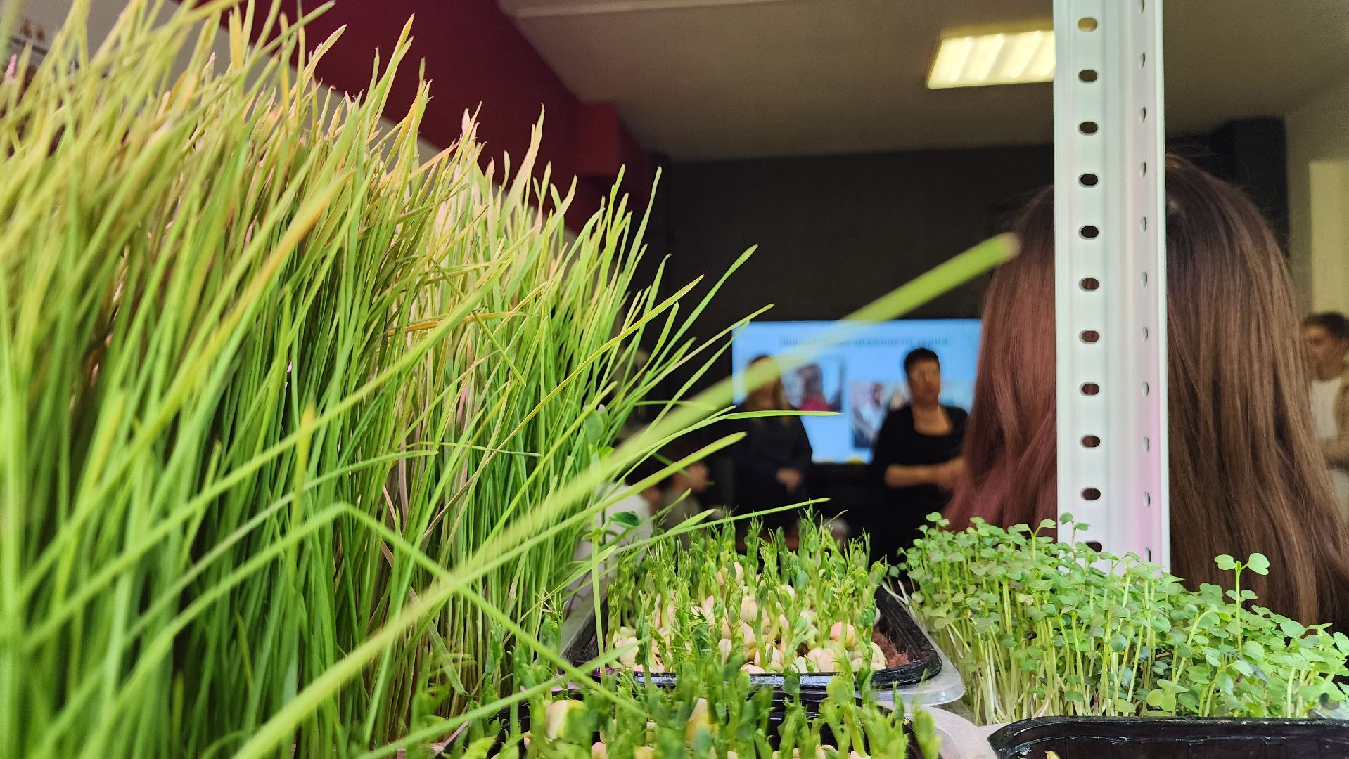 ступино, образование, агроклассы,