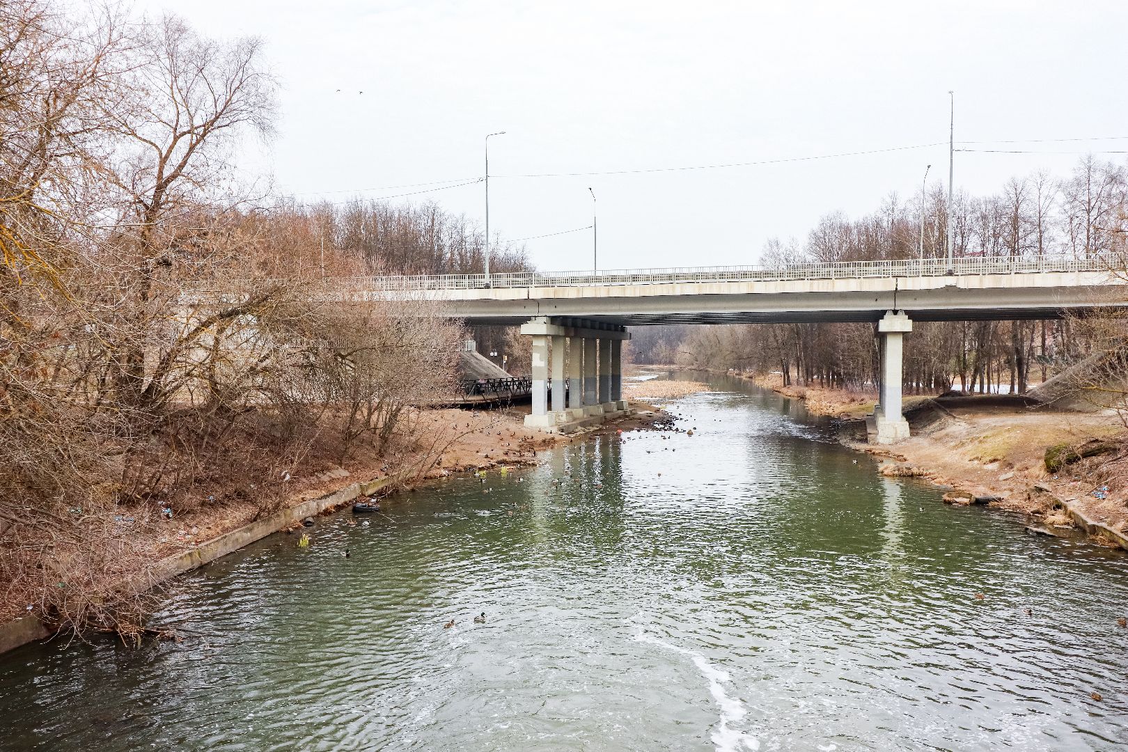 Клин, общество, экология, утки, природа,