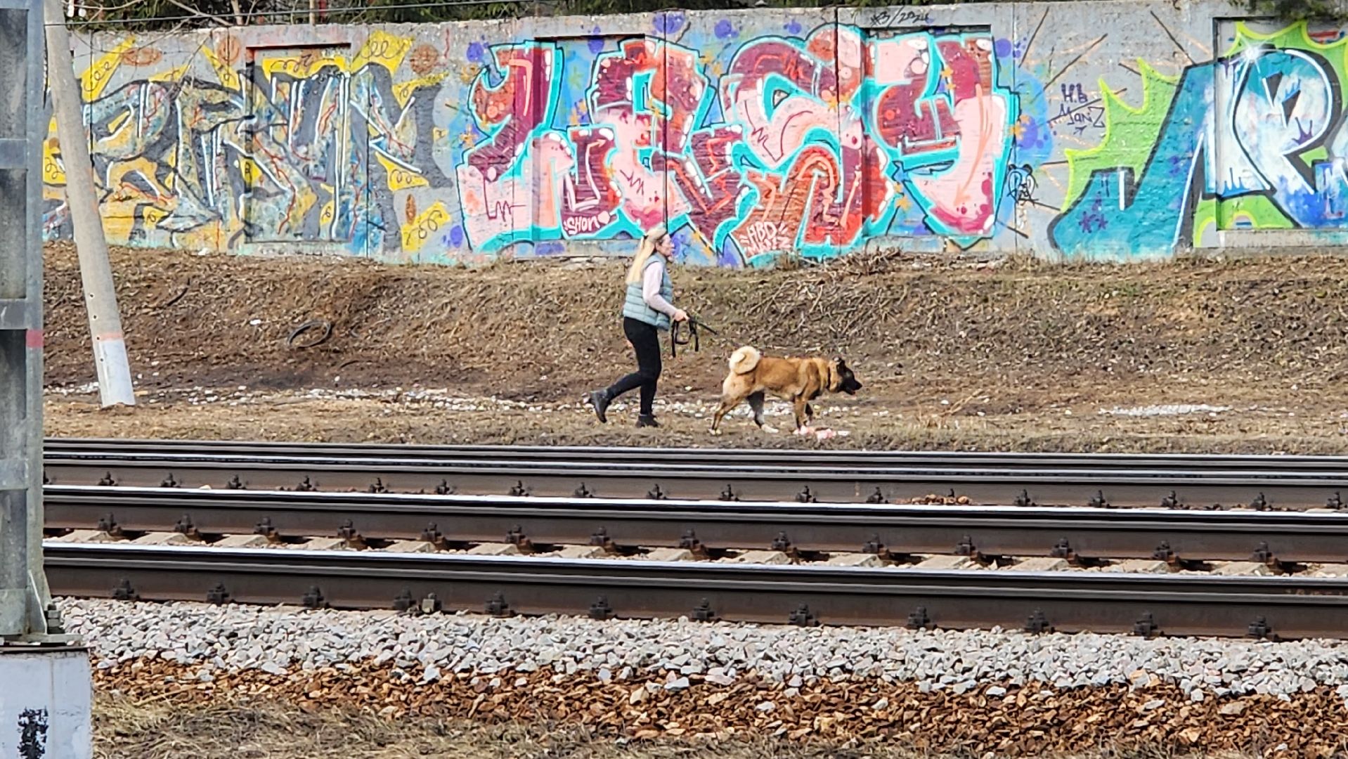 Народная программа, единая россия, люберцы, малаховка, пешеходный надземный переход, строительство,