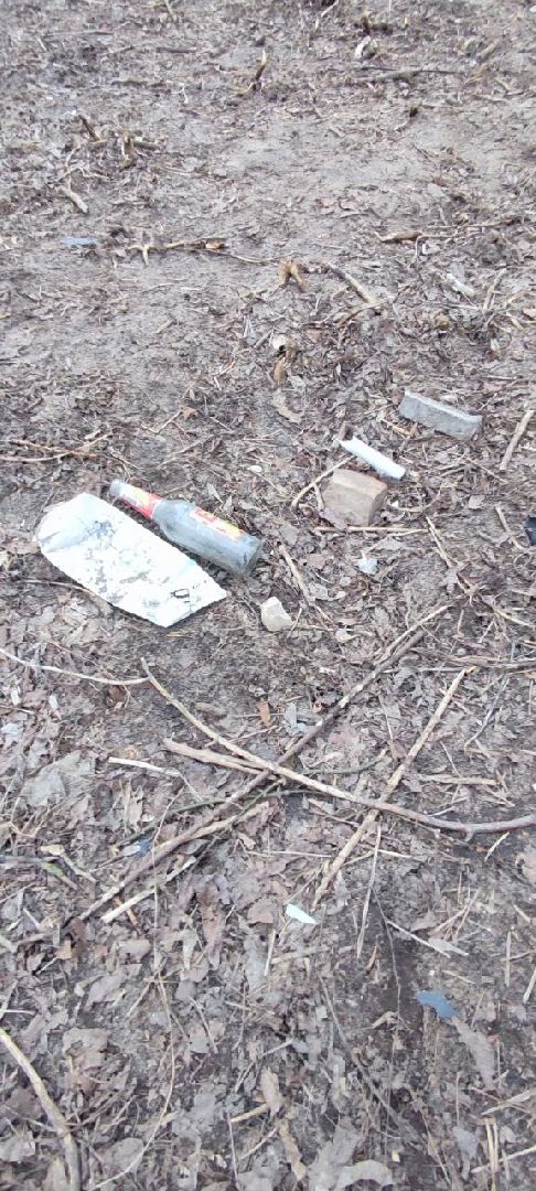 выездная администрация, обращение жителей, благоустройство, Старая Купавна, Богородский городской округ,