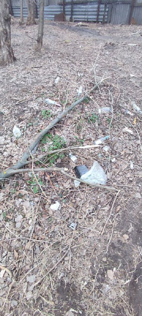 выездная администрация, обращение жителей, благоустройство, Старая Купавна, Богородский городской округ,