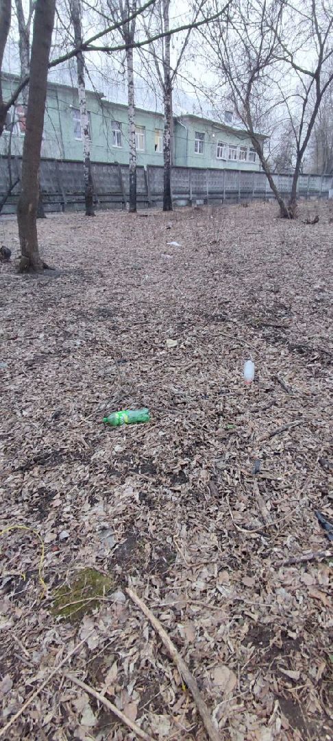 выездная администрация, обращение жителей, благоустройство, Старая Купавна, Богородский городской округ,