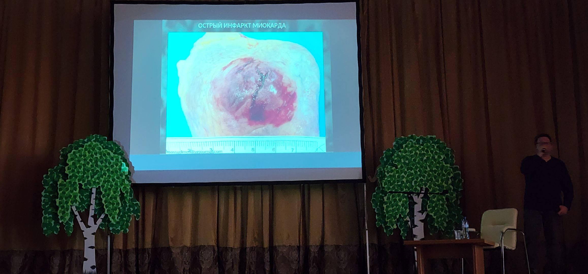 здоровье, общество, образование, медицина, нет наркотикам,