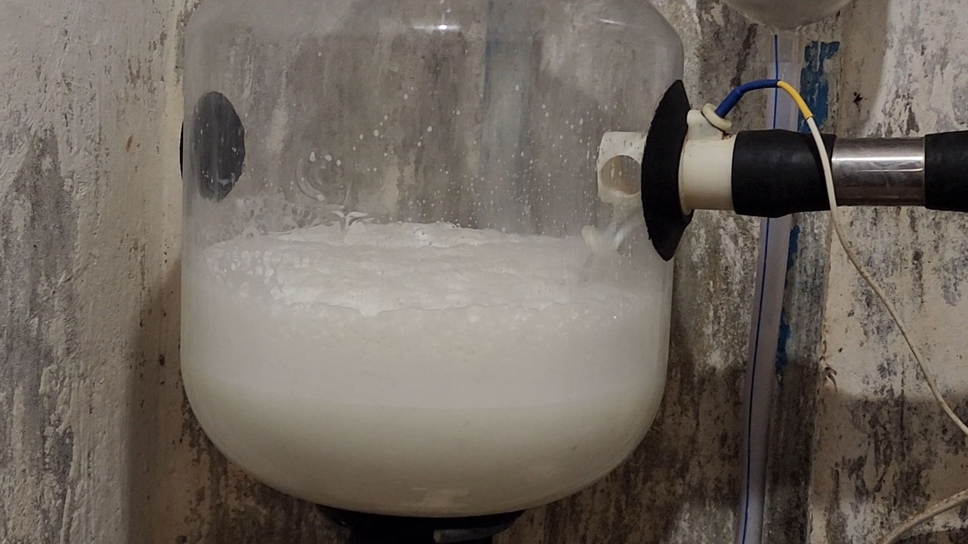 Бронницы, Производство молока, Коровье молоко,