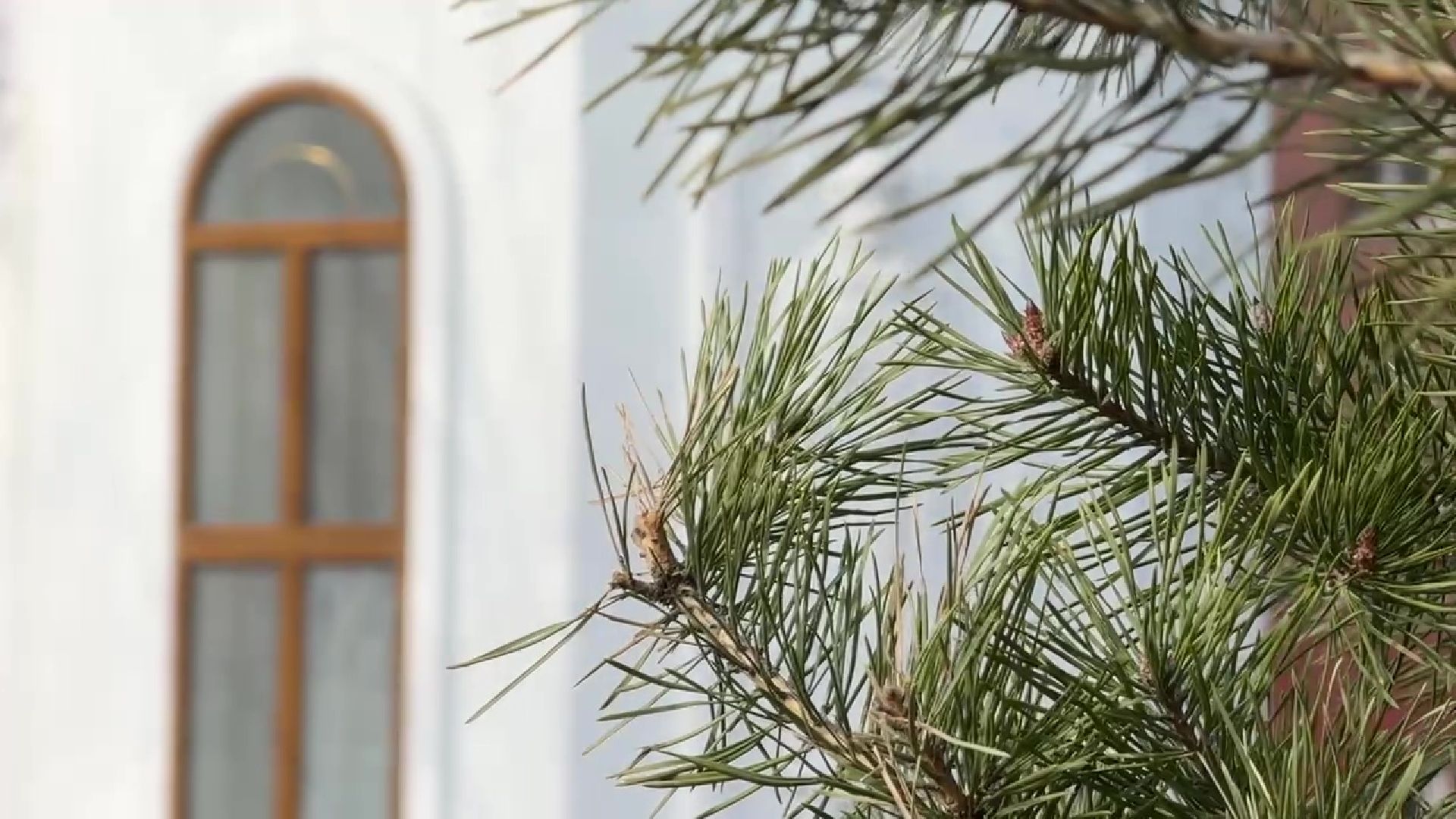 реутов,реконструкция, часовня,день победы,