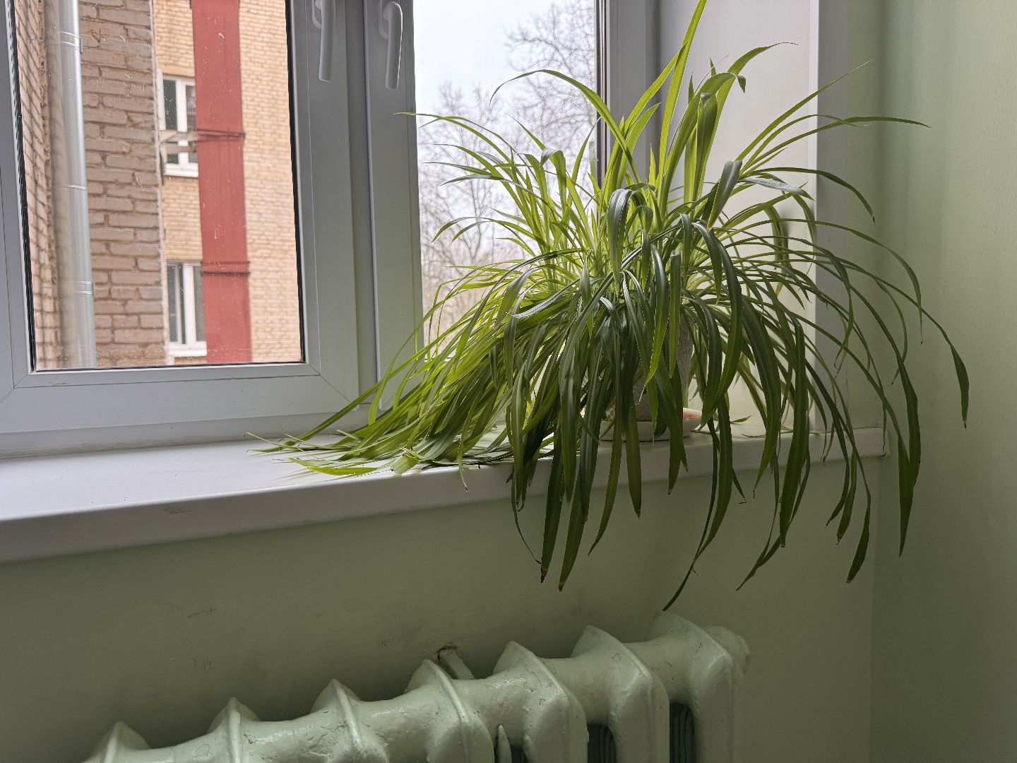 Выездная администрация, Капитальный ремонт дома, ЖКХ, Одинцово,