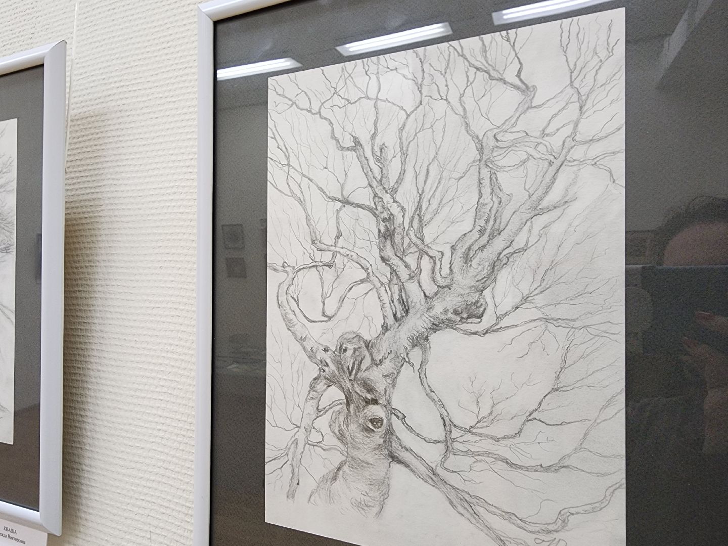 Подольск, выставка, флористика, графика, творчество, курилы,