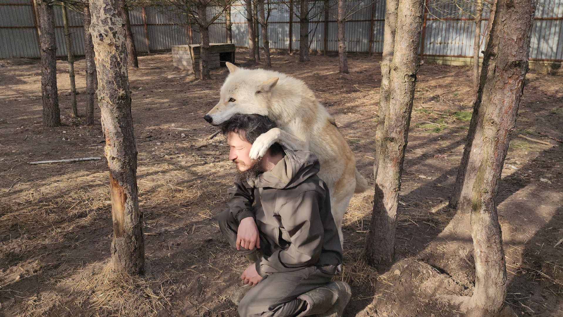 благотворительность, реабилитация, приют для животных,