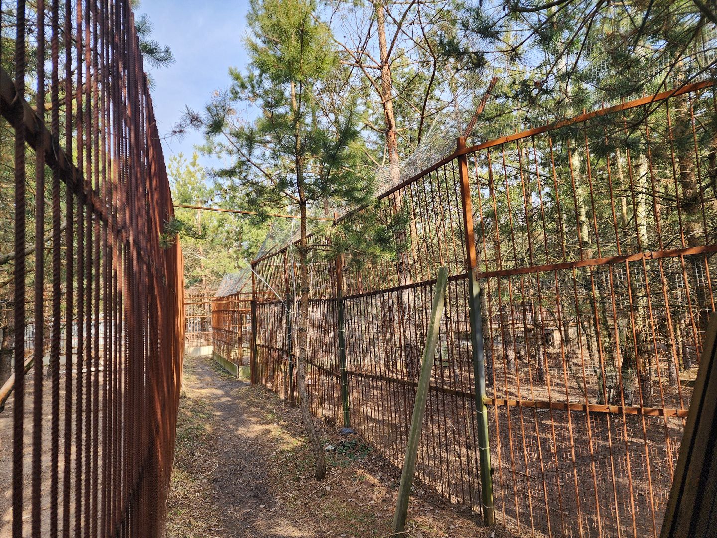 благотворительность, реабилитация, приют для животных,