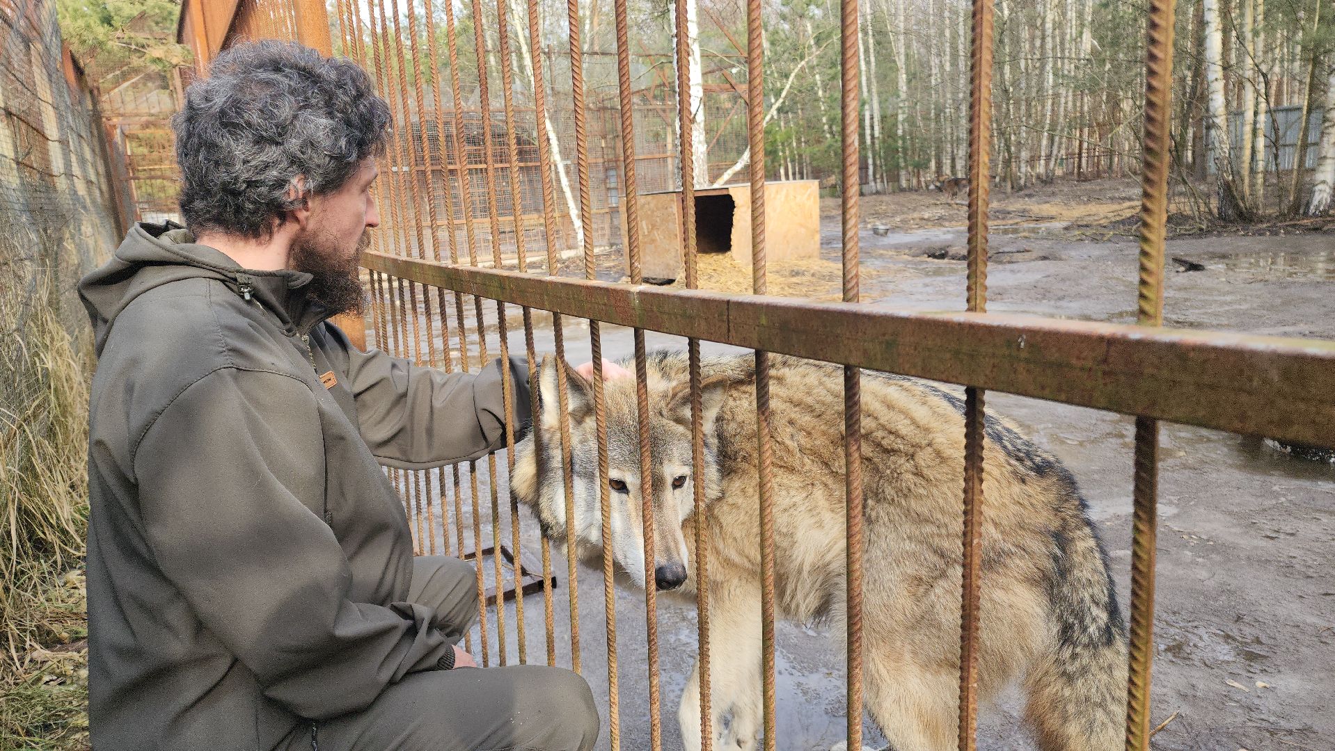 благотворительность, реабилитация, приют для животных,
