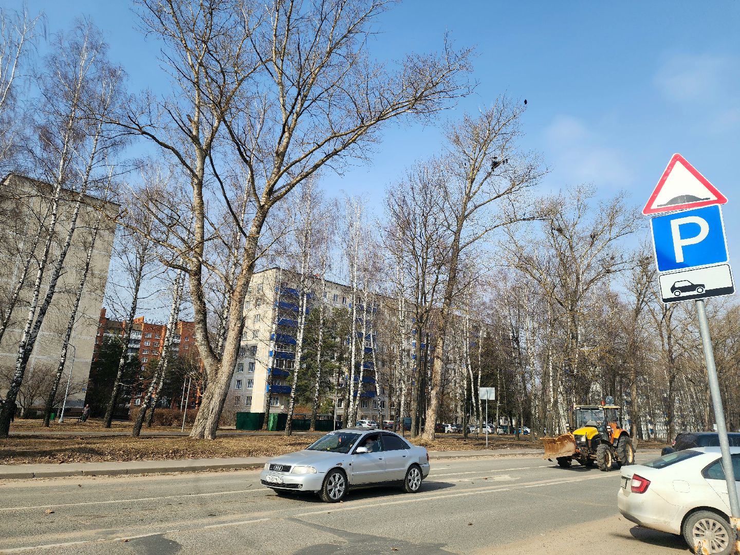 пущино, экология, серпухов, птицы, птицы подмосковья,