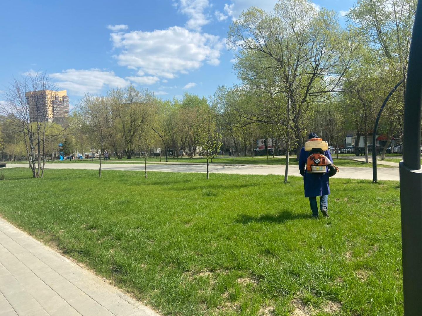 Реутов, обработка, парк, клещи, акарициды, прививка