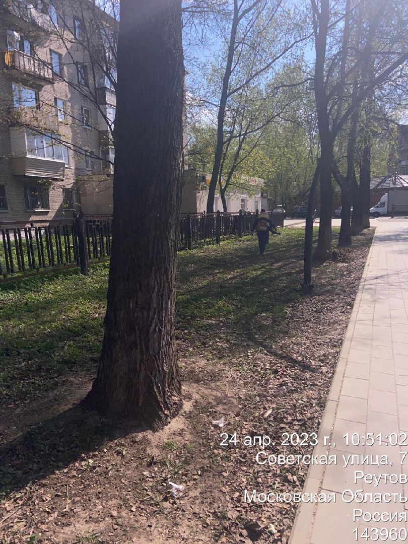 Реутов, обработка, парк, клещи, акарициды, прививка