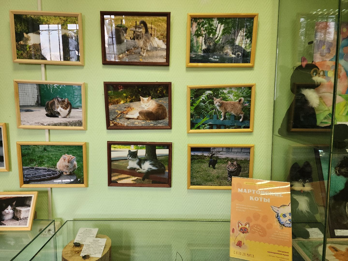 шатурский краеведческий музей, выставка, кошки,шатурский центр созвездие, ДШИ шатура,