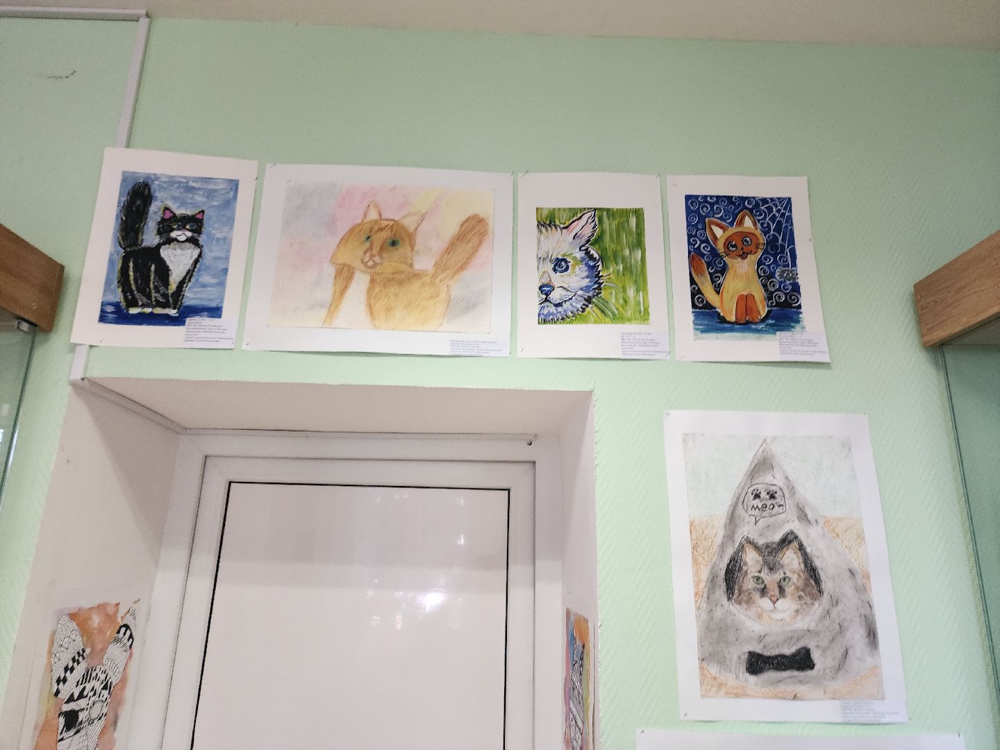 шатурский краеведческий музей, выставка, кошки,шатурский центр созвездие, ДШИ шатура,