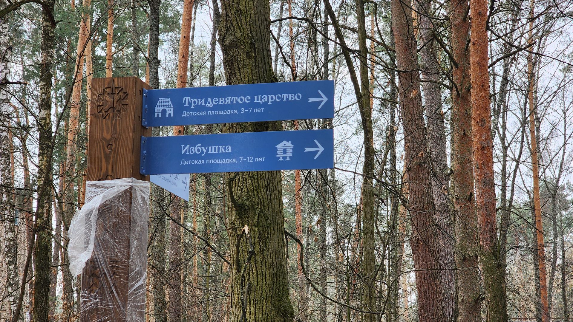 протвино, парк сказка, реконструкция парка,