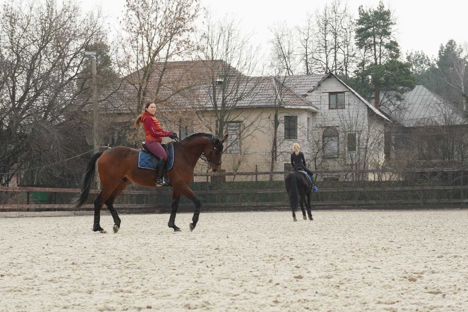 котельники, конный спорт, занятия на каникулах, занятия на свежем воздухе, спортивная школа,