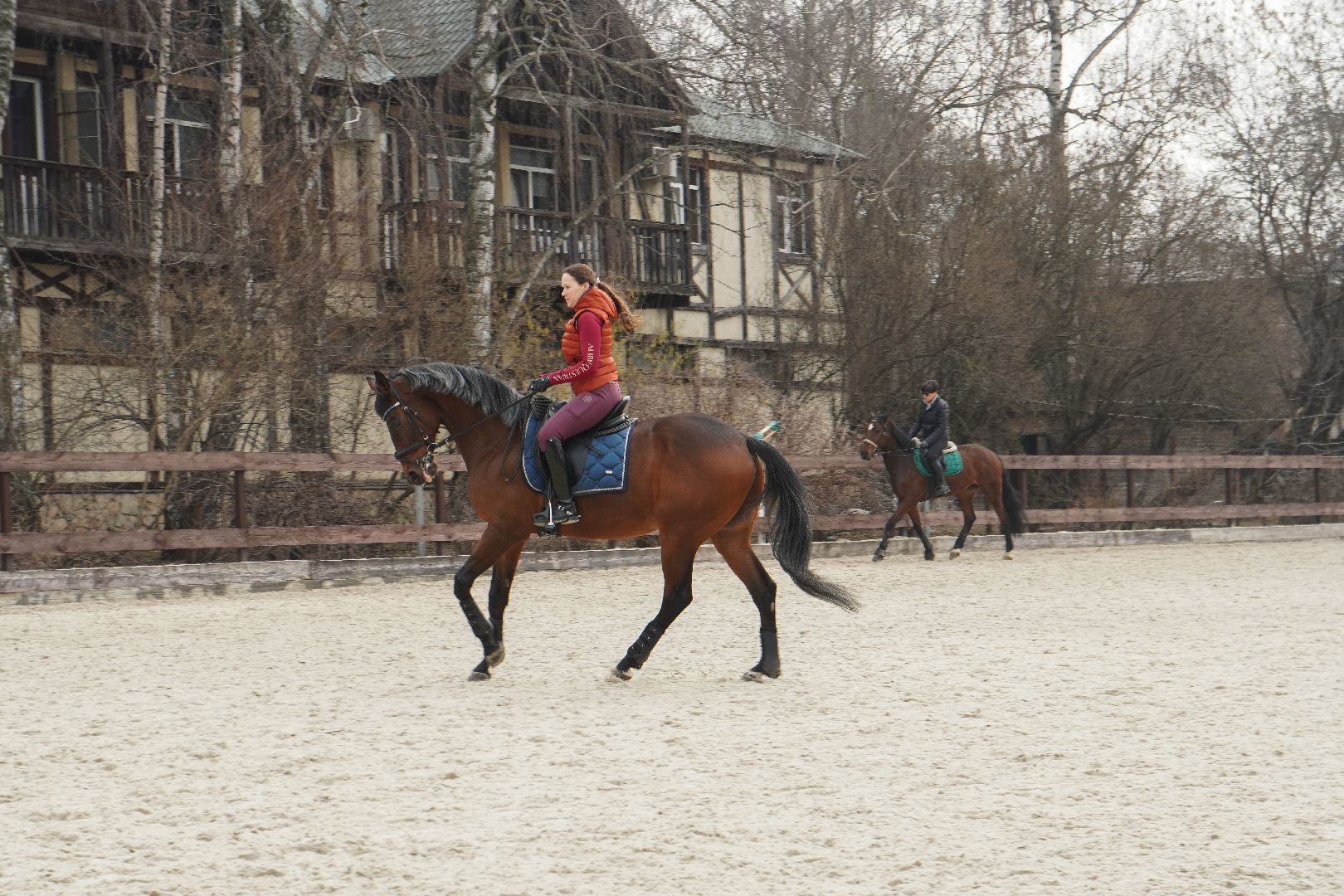 котельники, конный спорт, занятия на каникулах, занятия на свежем воздухе, спортивная школа,