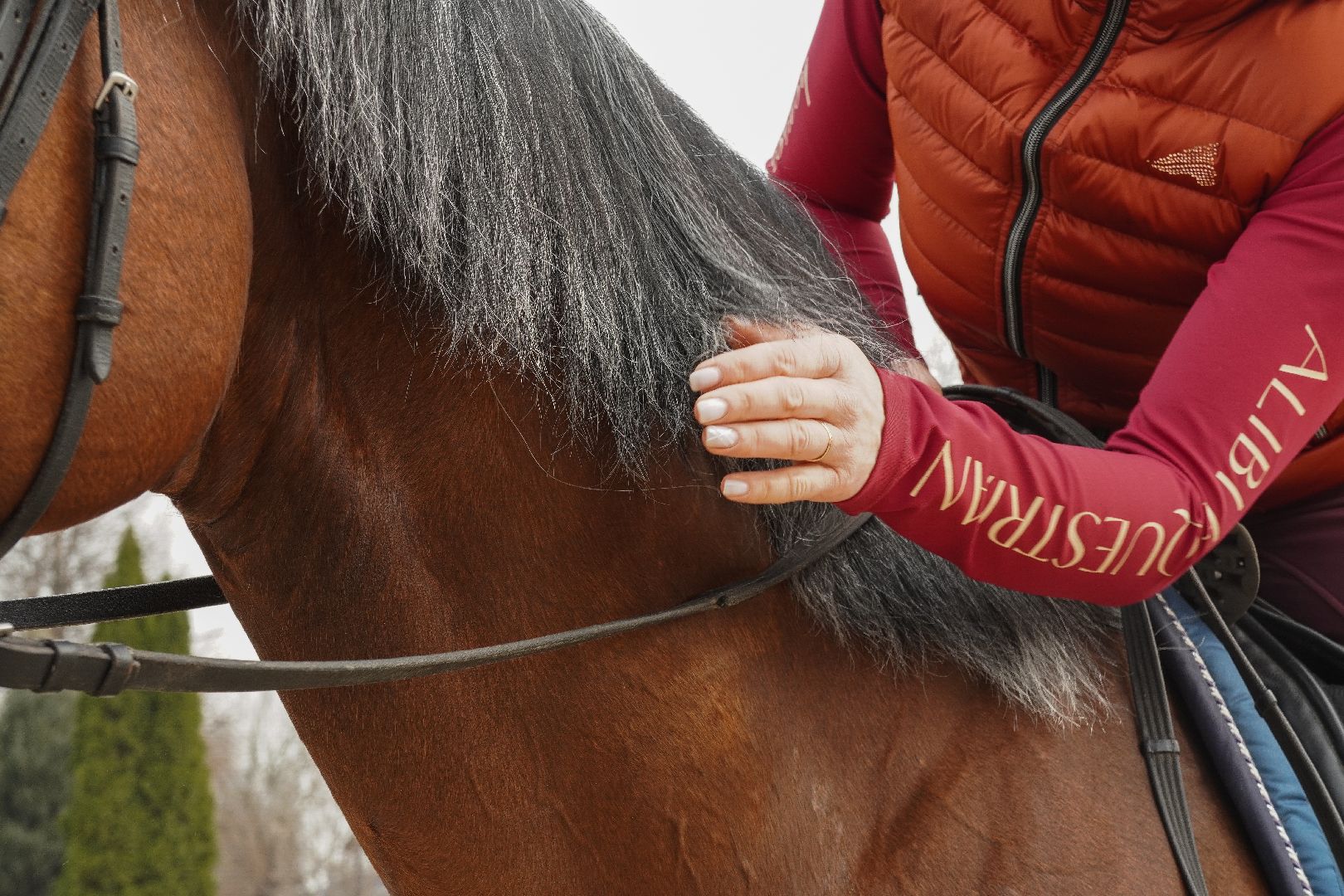 котельники, конный спорт, занятия на каникулах, занятия на свежем воздухе, спортивная школа,