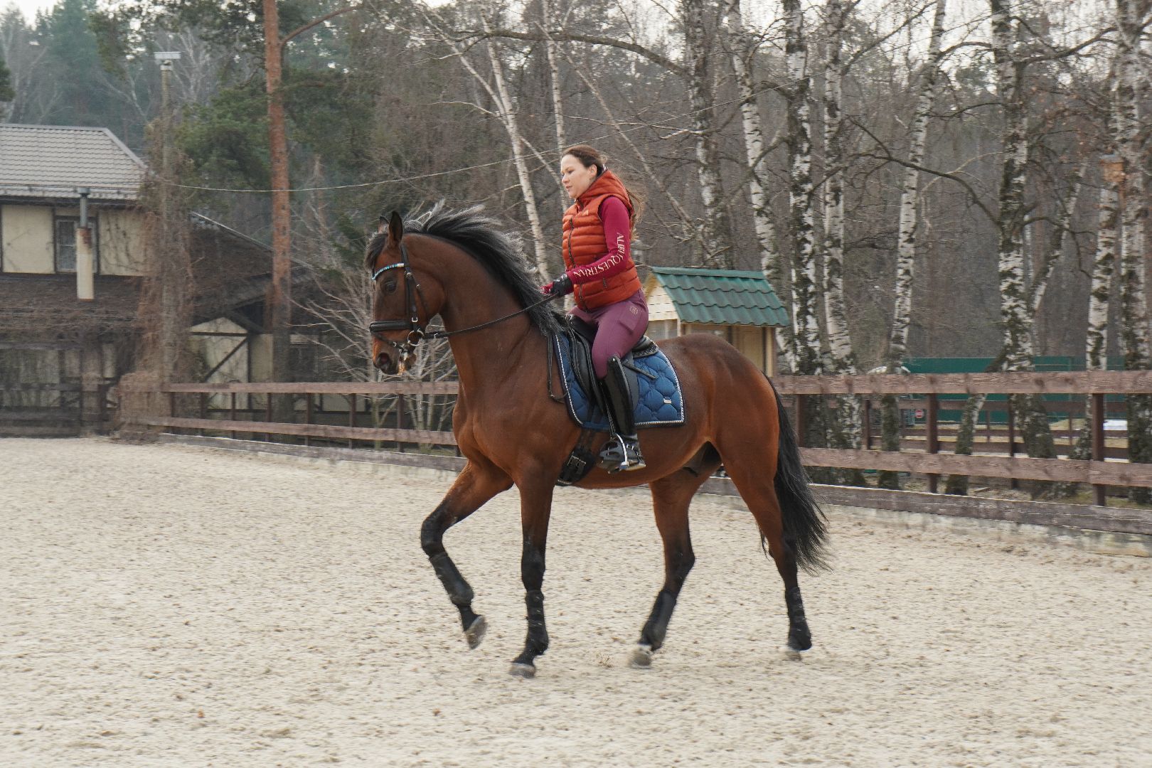 котельники, конный спорт, занятия на каникулах, занятия на свежем воздухе, спортивная школа,