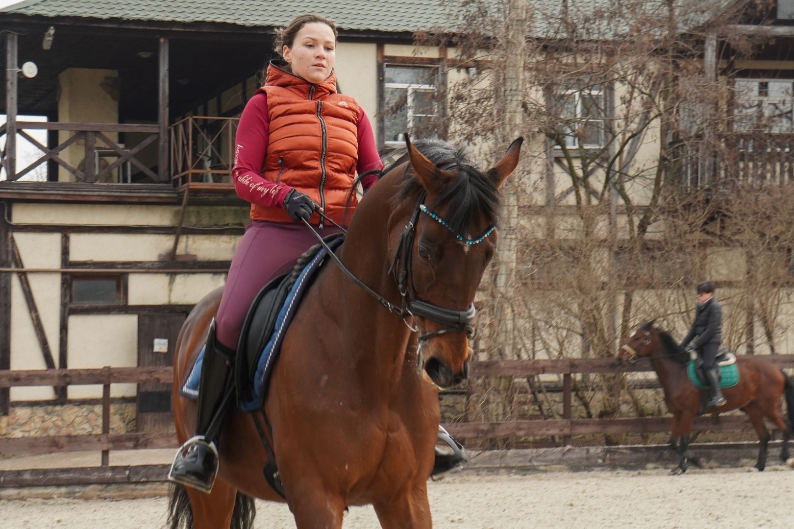 котельники, конный спорт, занятия на каникулах, занятия на свежем воздухе, спортивная школа,